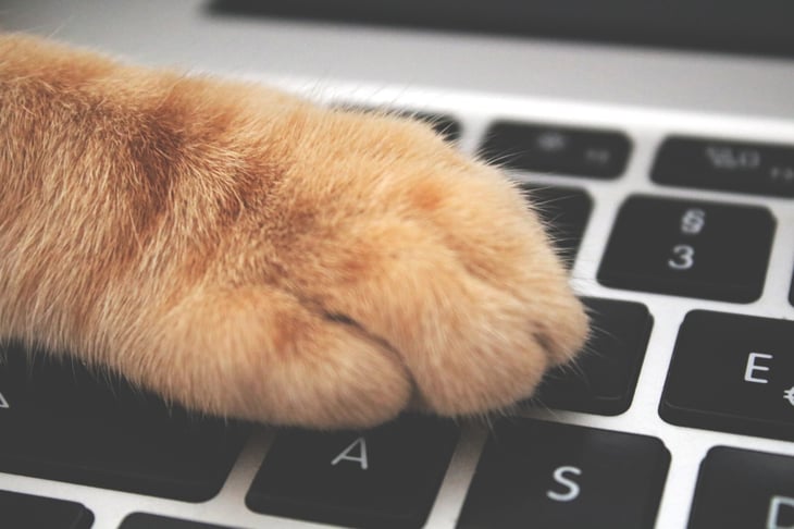 Master the art of social video