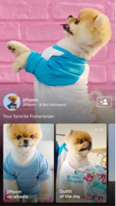 Instagram feed