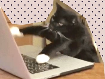 Angry cat hammering his laptop, with dotted background